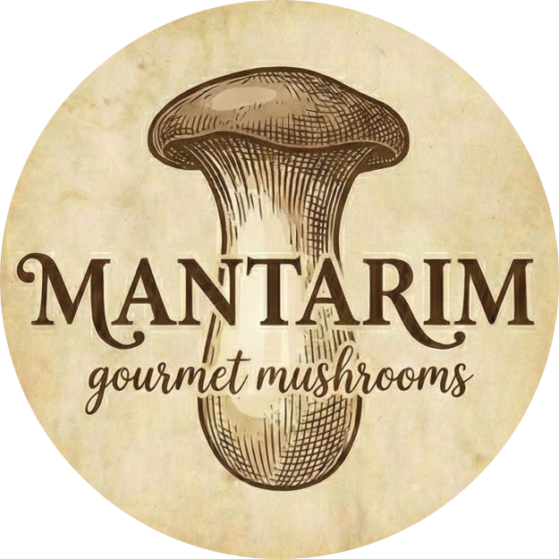 MANTARIM